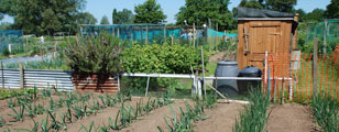 Quand la cabane au fond du jardin s'enflamme