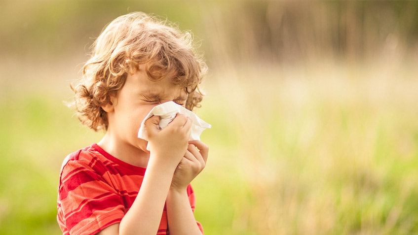 Rhume des foins : questions-réponses sur l'allergie au pollen avec Comparis