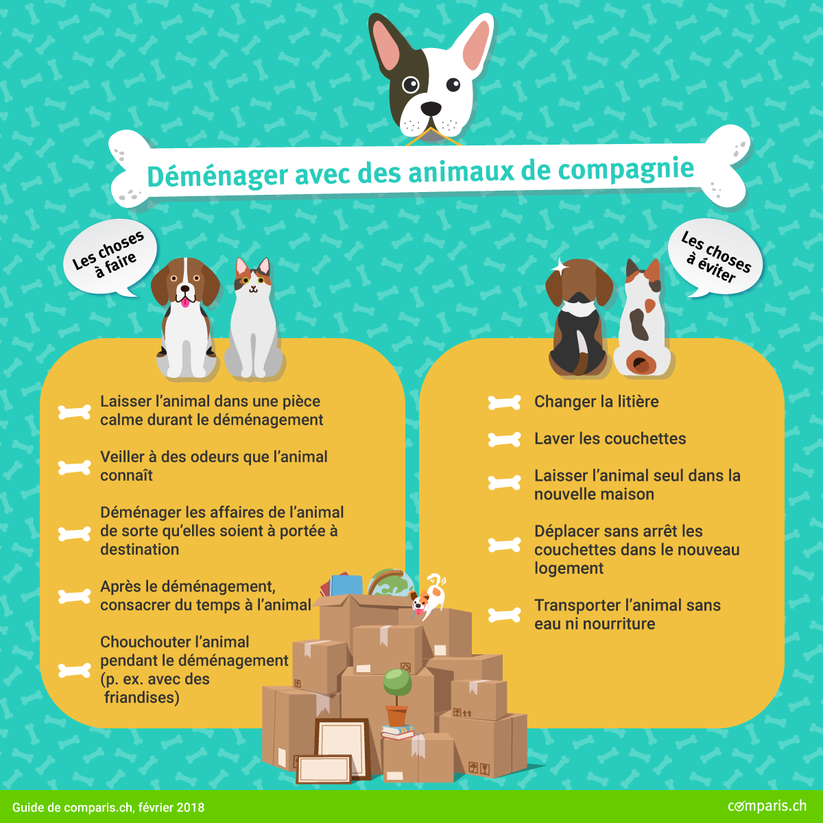 Demenager Sans Stress Avec Des Animaux De Compagnie Demenager Sans Stress Avec Des Animaux De Compagnie